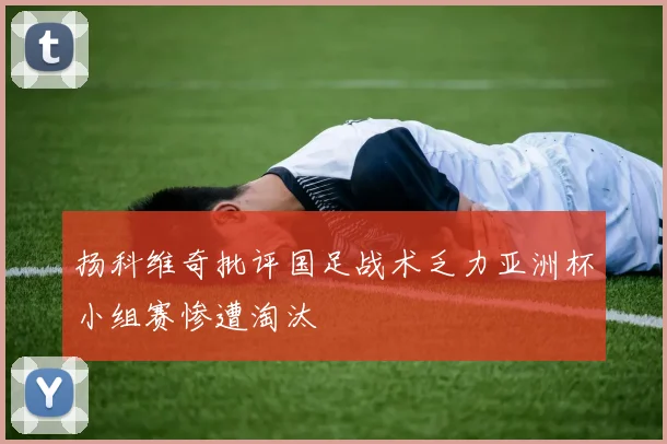 扬科维奇批评国足战术乏力亚洲杯小组赛惨遭淘汰