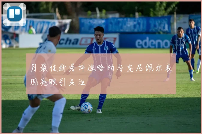 月最佳新秀评选哈珀与克尼佩尔表现亮眼引关注